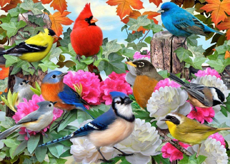 Wooden Jigsaw Puzzle - Birds For All Seasons - 500 Pieces Wentworth