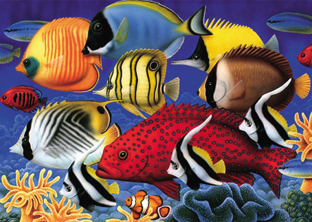 Wooden Jigsaw Puzzle - Coral Fish - 500 Pieces