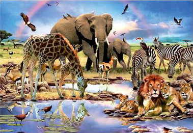 Jigsaw Puzzle - The Cradle of Life - 1500 Pieces Educa