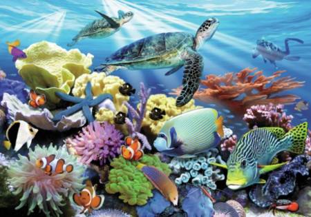 Wooden Jigsaw Puzzle - Reef Life (#8374) - 500 Wentworth