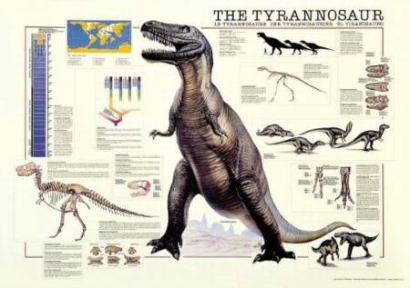 Jigsaw Puzzle - The Tyrannosaur (#2804N00029) - 1000 Pieces Ricordi