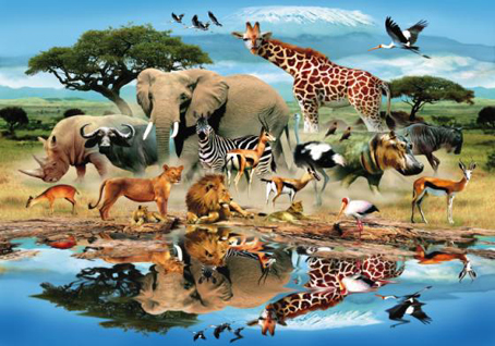 Wooden Jigsaw Puzzle - Watering Hole - 500 Pieces