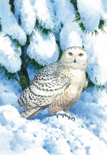 Wooden Jigsaw Puzzle - Winter Camouflage Owl (#731506) - 1000 Pieces