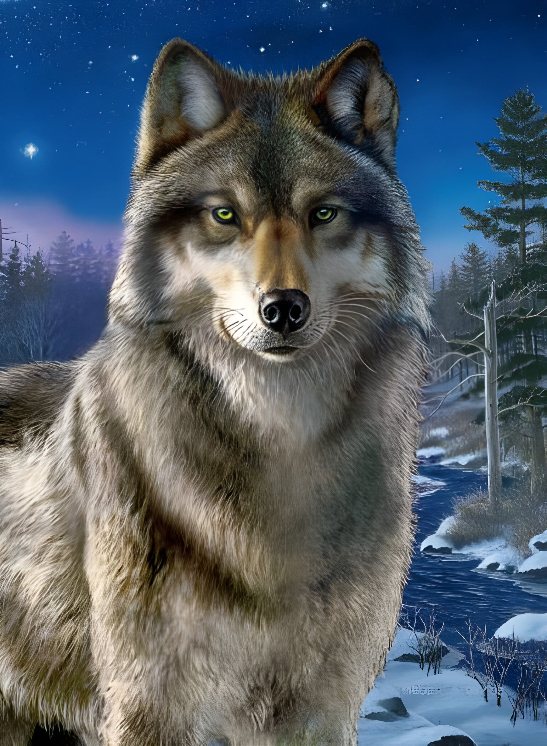 Night Watch (#30386)