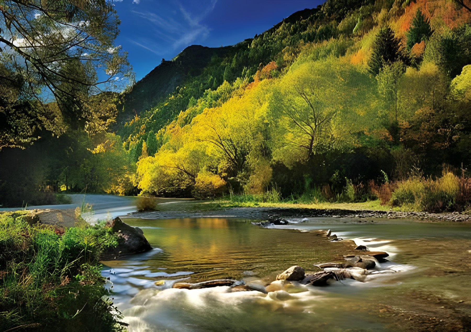 Arrow River, New Zealand (10317)