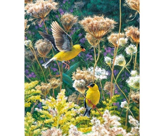 Wooden Jigsaw Puzzle - American Goldfinches (982606) - 500 Pieces Wentworth