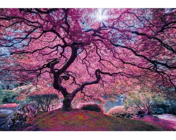 Wooden Jigsaw Puzzle - Japanese Maple (921406)  - 1000 Pieces Wentworth