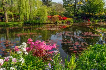 Wooden Jigsaw Puzzle-Lily Pond in Monet's Garden-500 Piece Wooden Jigsaw Puzzle
