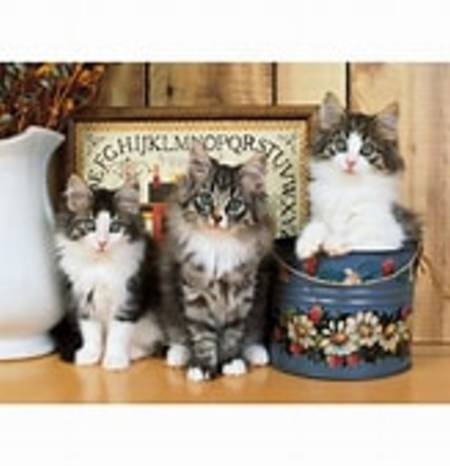 Jigsaw Puzzle - Norwegian Cats (31989) - 1500 Pieces Clementoni