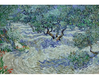 Wooden Jigsaw Puzzle - Olive Grove (1000404)  - 250 Pieces Wentworth