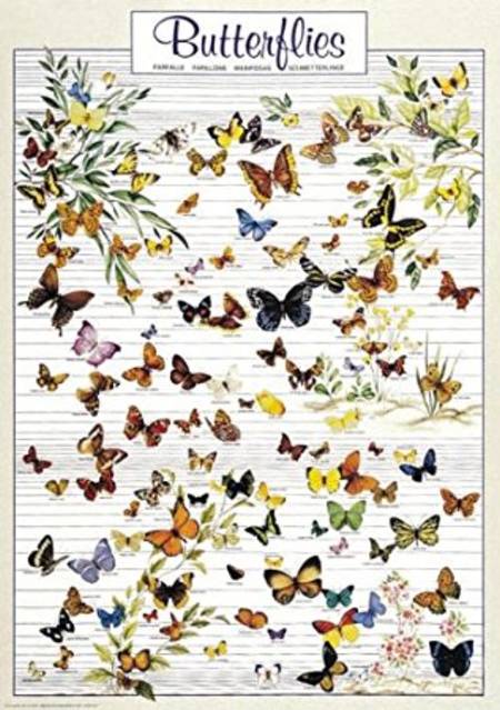 Jigsaw Puzzle - Butterflys (#2804N00025) - 1000 Pieces Ricordi