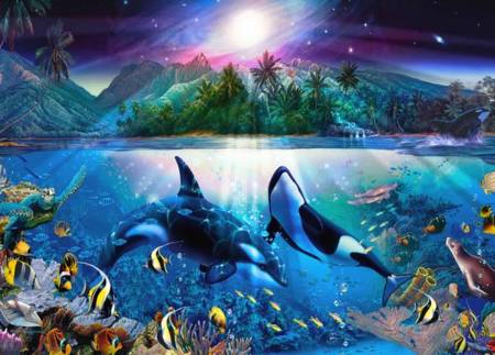 Jigsaw Puzzle - Harmonious Orcas II (3388-05) - 1000 Pieces Ceaco