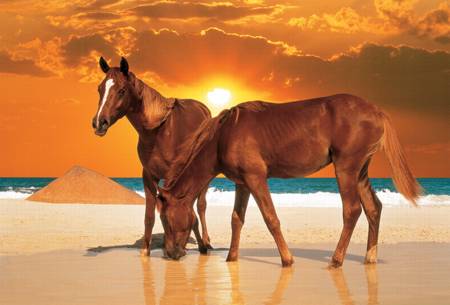 Jigsaw Puzzle - Stallions on the Beach (26093)