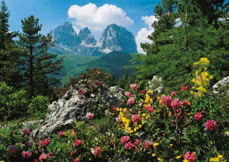 Jigsaw Puzzle - Val Gardena, Sassolungo-Langkofel, Italy (34518) - 4000  Pieces Clementoni