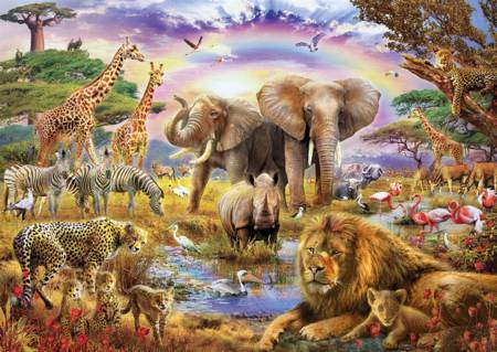 Jigsaw Puzzle - Watering Hole Rainbow (#17698) - 3000 Pieces Educa