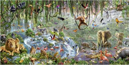 Jigsaw Puzzle - Wildlife (#17133) - 3000 Educa