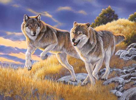 Jigsaw Puzzle - Wolves (#35033) - 500 Pieces Clementoni