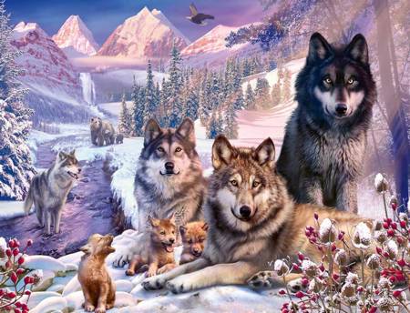 Jigsaw Puzzle - Wolves in the Snow (#16012) - 2000 Pieces Ravensburger