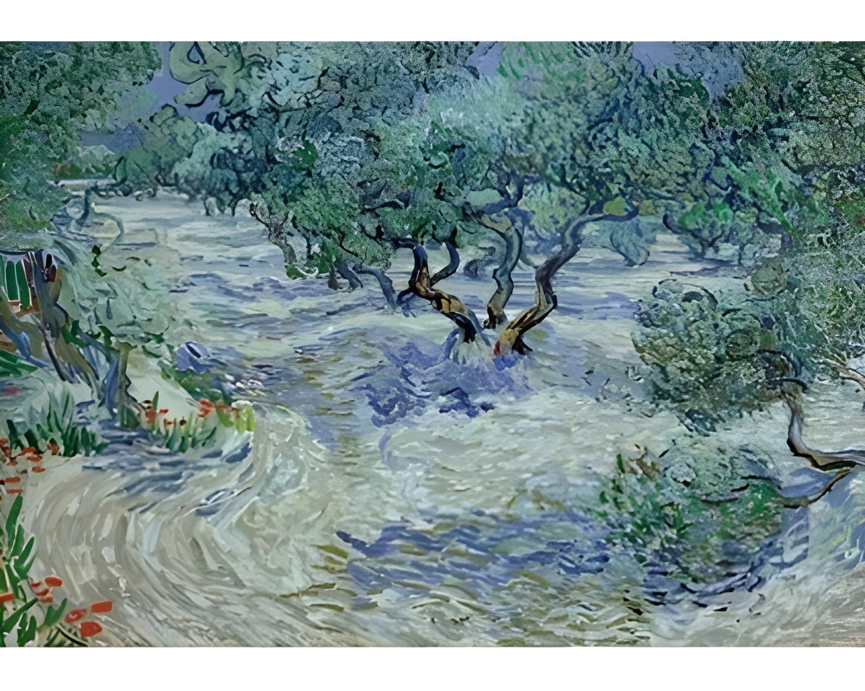 Olive Grove (1000404)