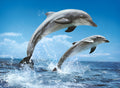 Two Jumping Dolphins (39205)