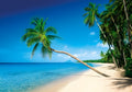 Martinique (31669)