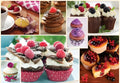 Muffins (10360)