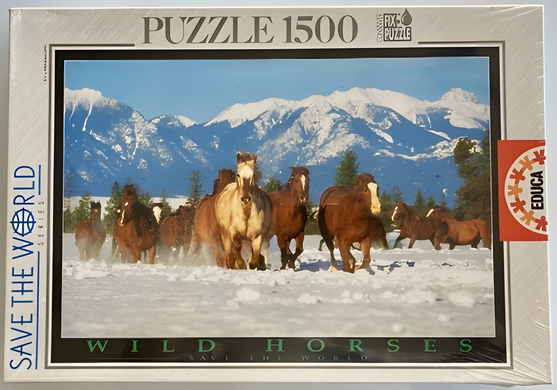 Only 1 Wild Horses