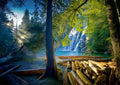 Mysterious Forest (10288)