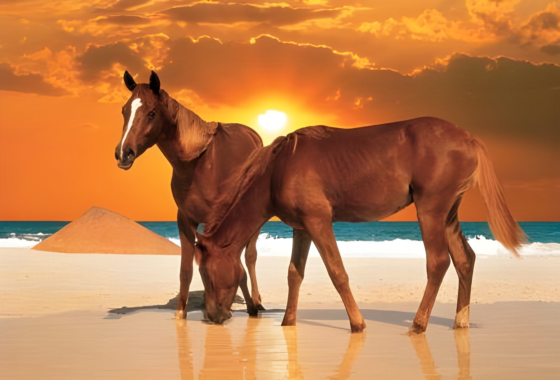 Stallions on the Beach (26093)