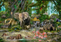African Jungle