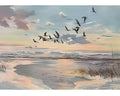 Greylag On Loch (931804)