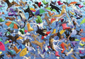 Raining Cats and Dogs (582713)