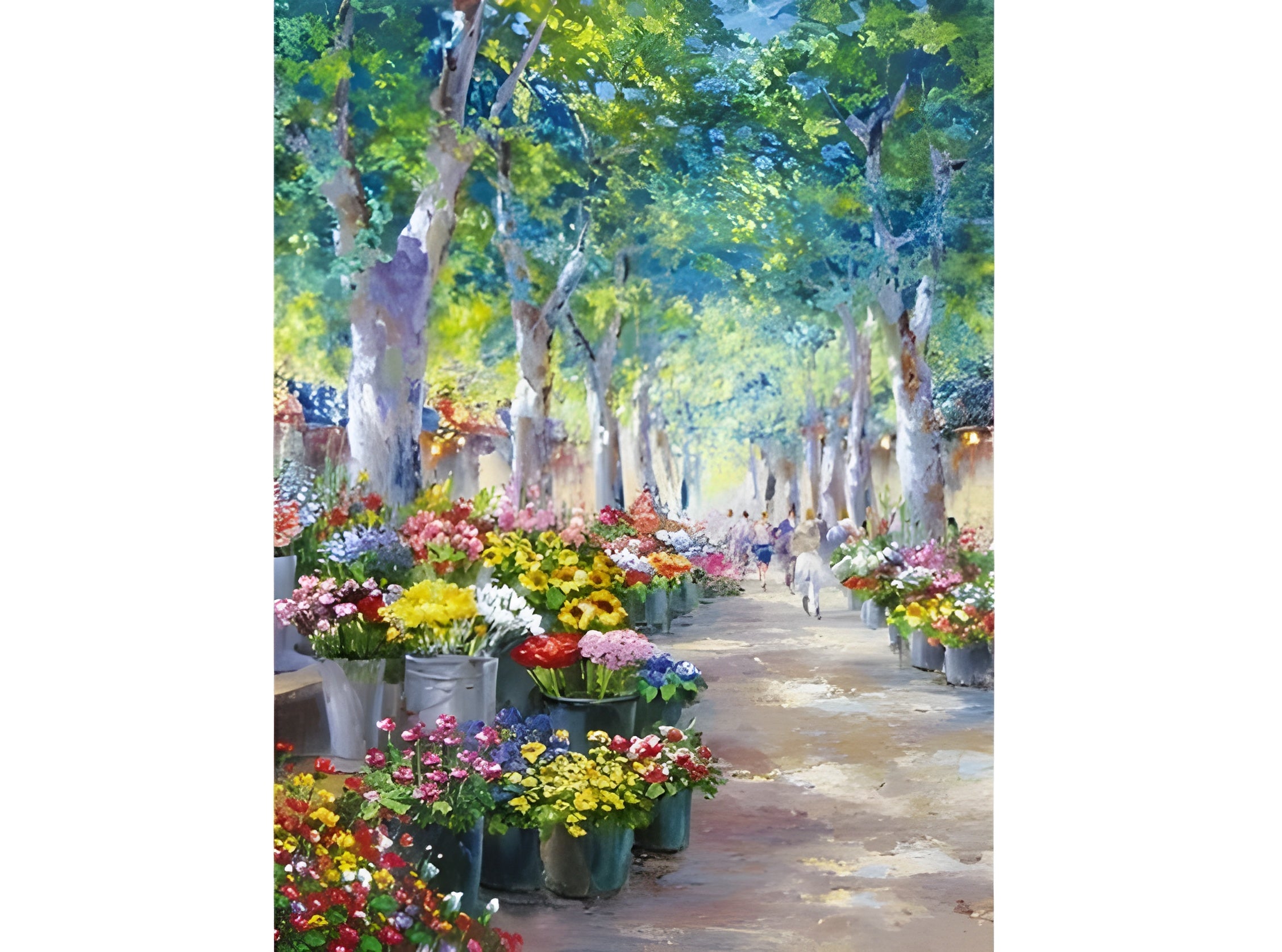 Narbonne, South Of France (993305)