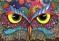 Its a Hoot (790413)