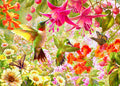 Hummingbird Garden - 500 Piece Puzzle (Wentworth)