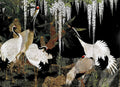 Illustration of cranes in a natural setting with plants and rocks.