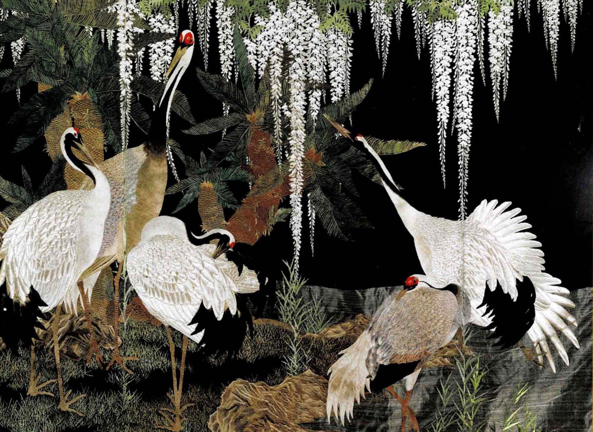 Illustration of cranes in a natural setting with plants and rocks.