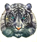 Mesmer-Eyes-ing - 160 Piece Puzzle (Wentworth)