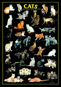 Cats (#2804N00028) - 1000 Pieces Ricordi