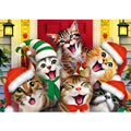 Cat Selfie (811706)