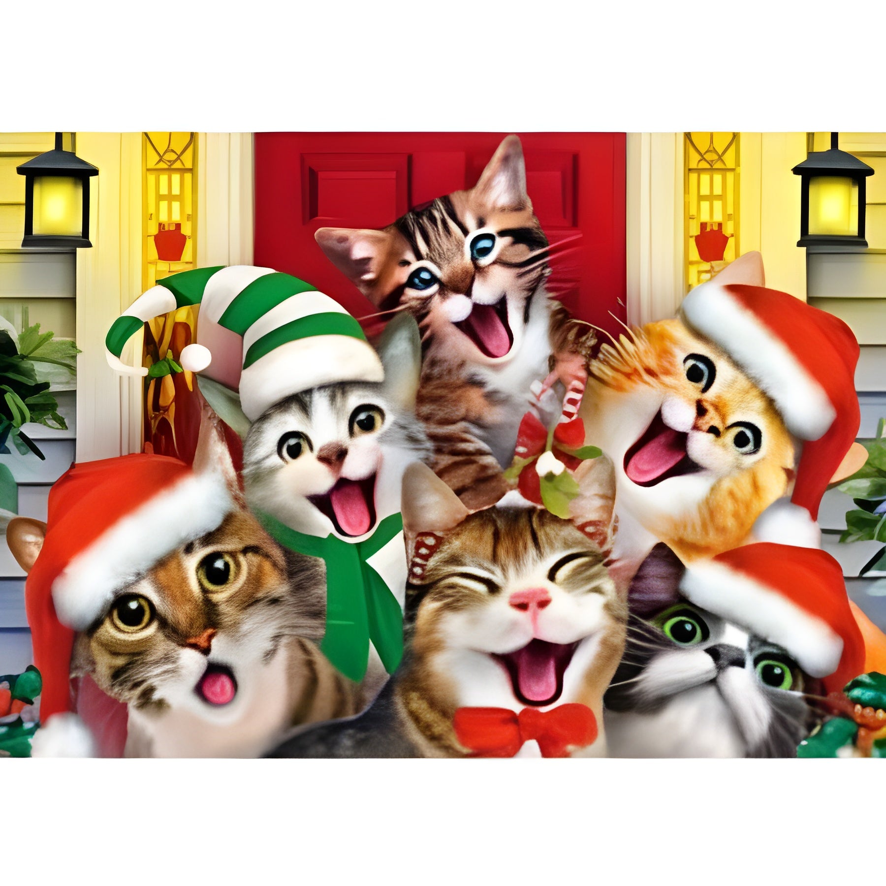 Cat Selfie (811706)