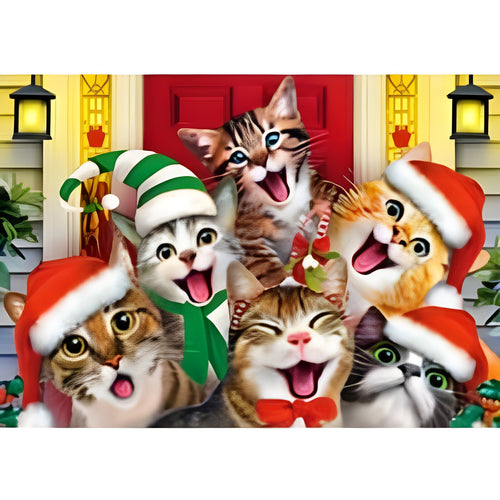 Cat Selfie (811706)
