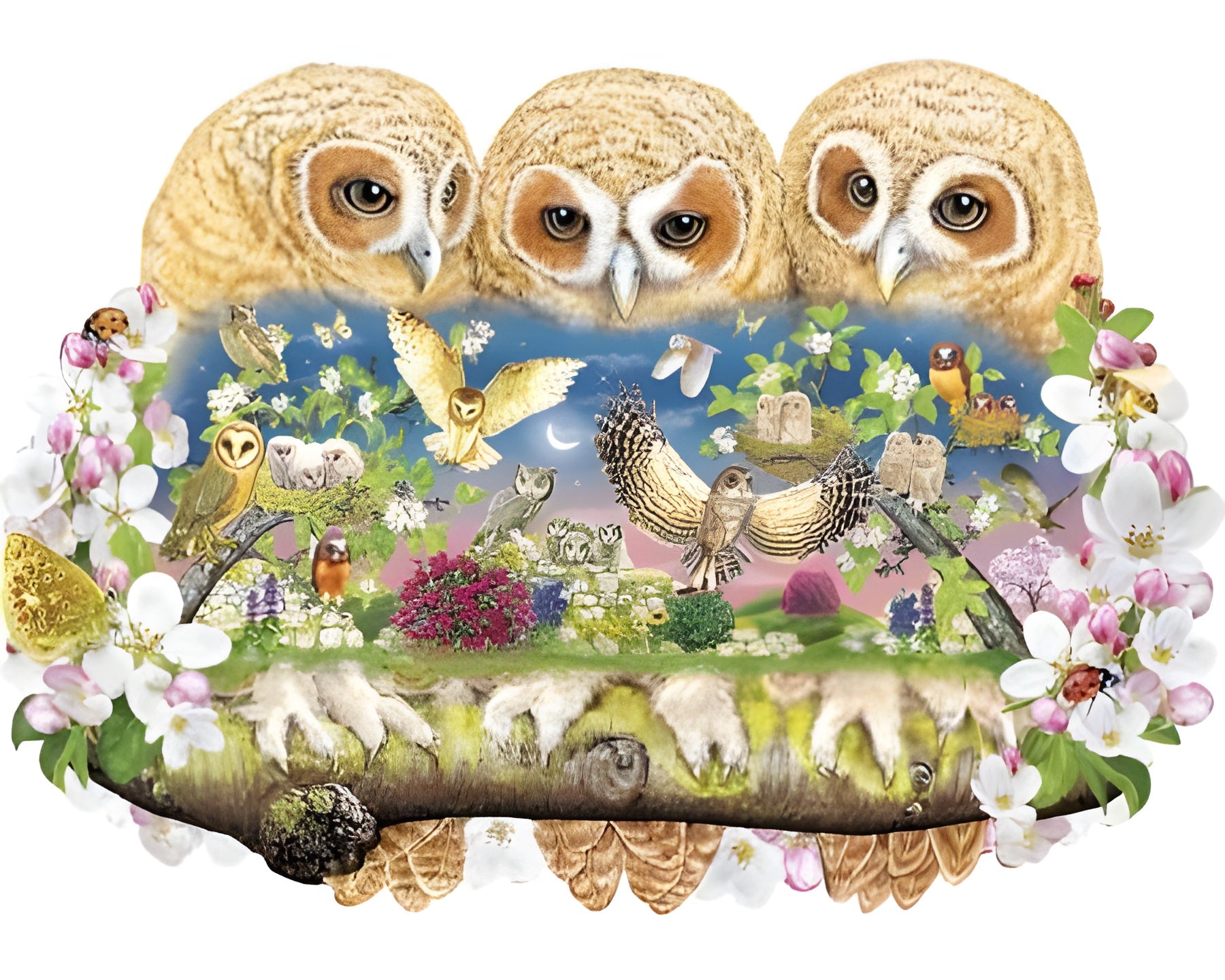 Owlets in the Moonlight (840106)