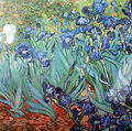 Irises - 500 Pieces Battle Road Press