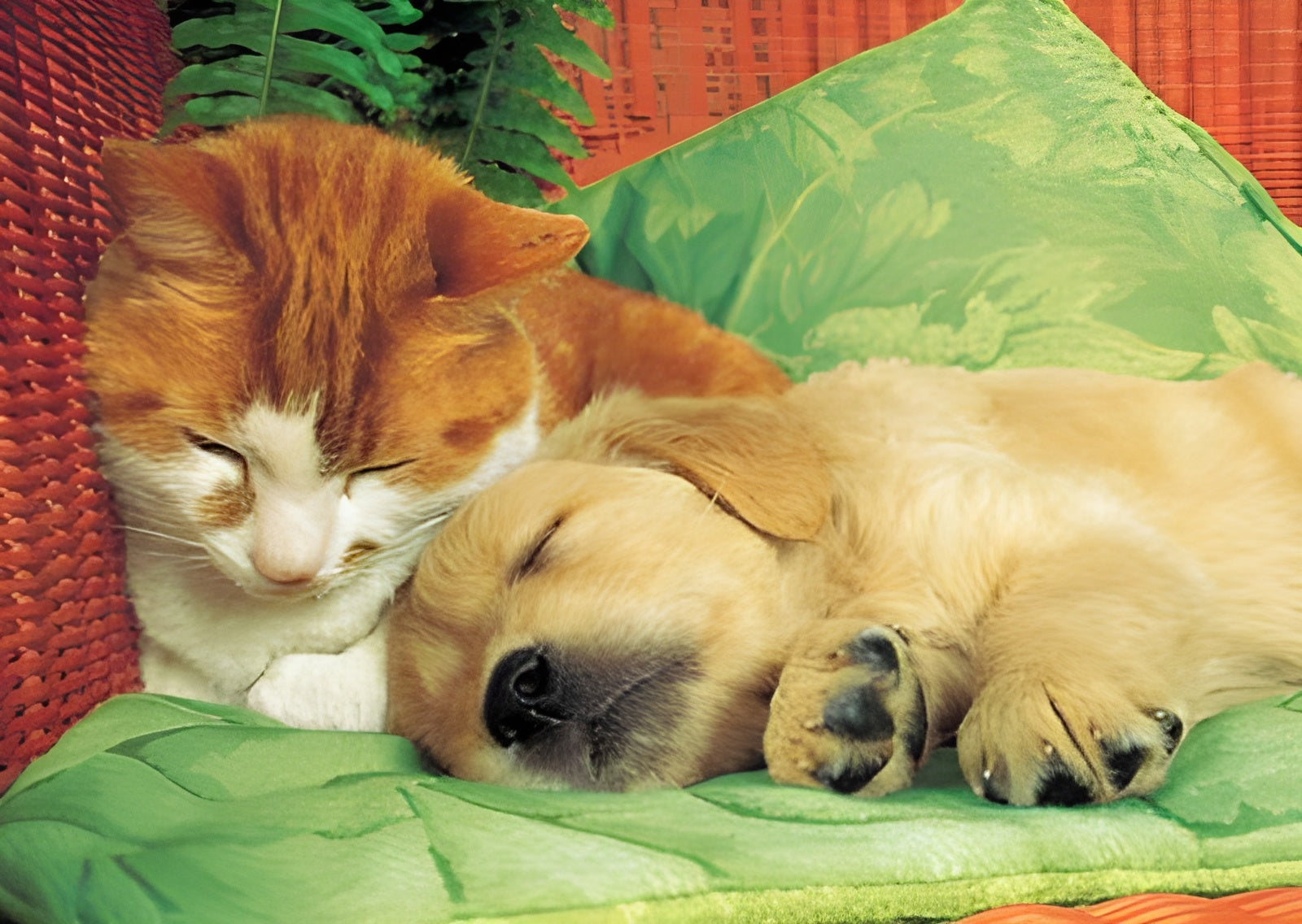The Truce