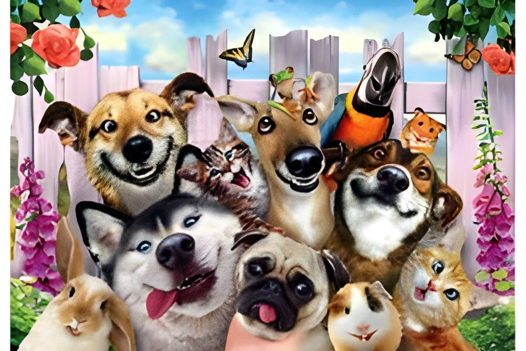 Pets Selfie 832206