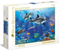 Two Close Dolphins (39020)