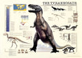 The Tyrannosaur (#2804N00029) - 1000 Pieces Ricordi