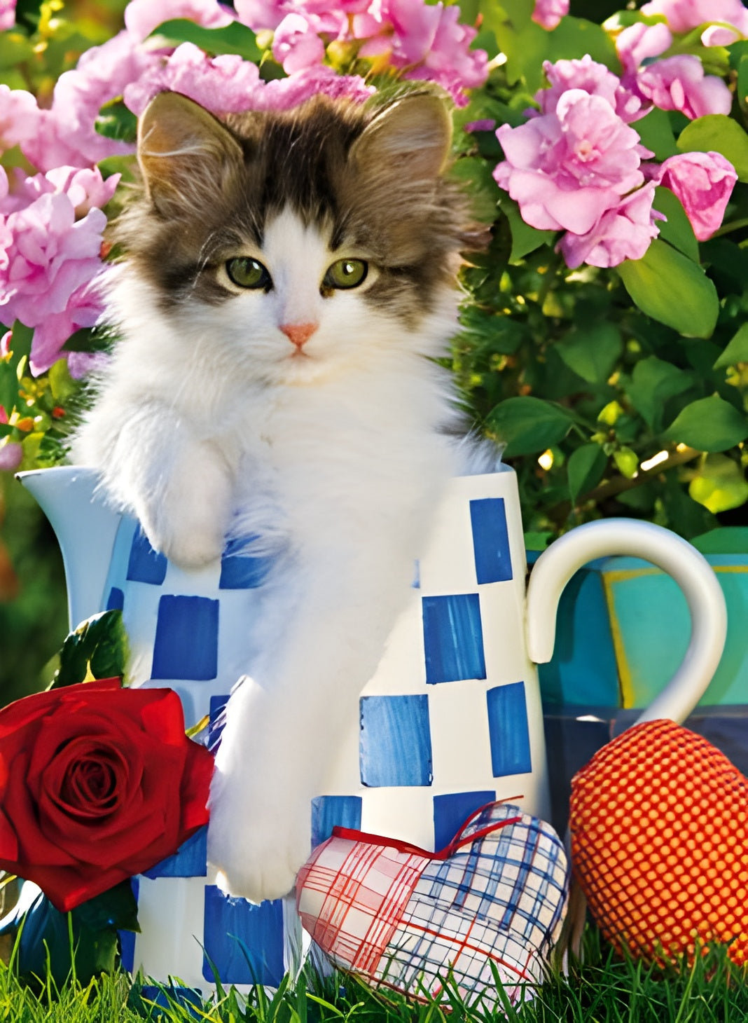 Tabby Kitten (39201)