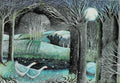 Starry River - 500 Piece Puzzle (Wentworth)